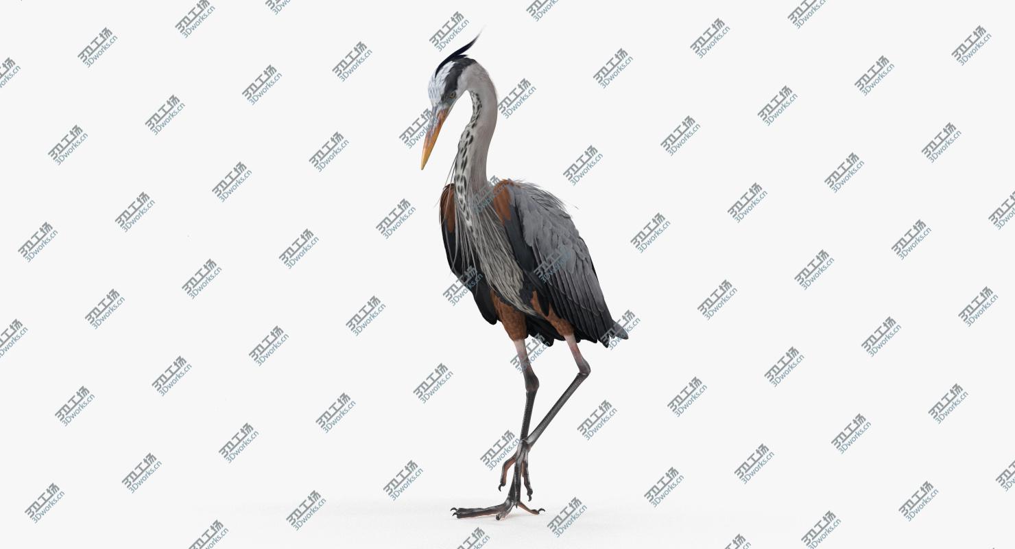 images/goods_img/202104093/Grey Heron Standing on One Leg model/3.jpg